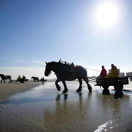 In Near Sandy Beaches, Cleaning Included Apartman *