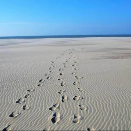 Apartman In Near Sandy Beaches, Cleaning Included *